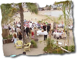 Beach Weddings