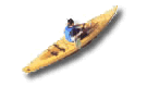 Kayak Rentals