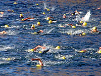 Naples Island Swim