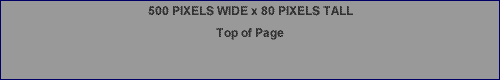 Web Ad - Top of Page 500 x 80 pixels