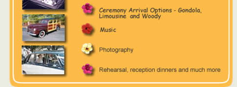 Beach Weddings